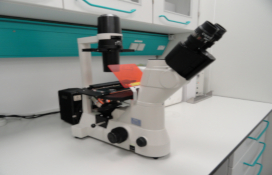 photo of the Inverted Routine Microscope
